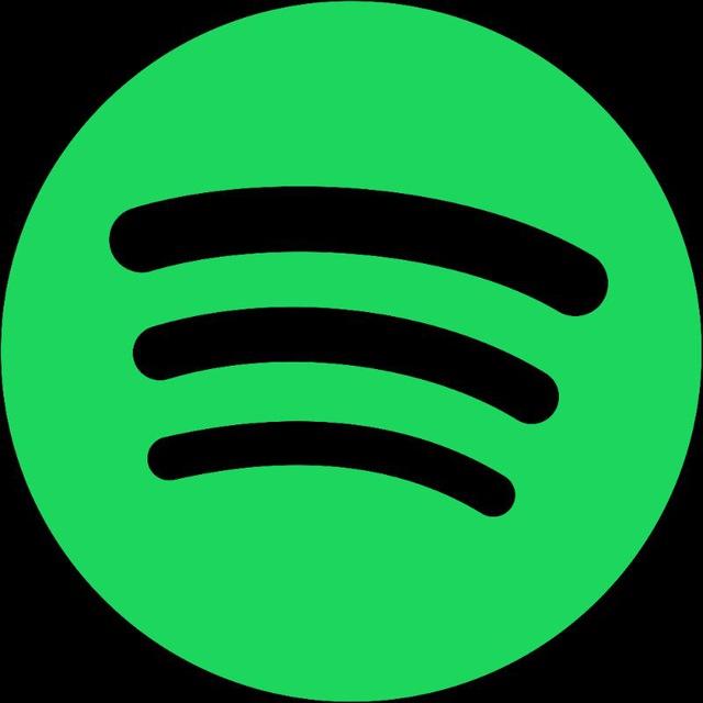 spotify download not working